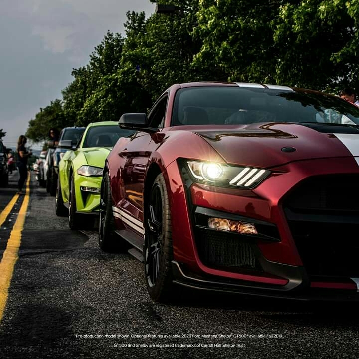 Ford Mustang GT 500