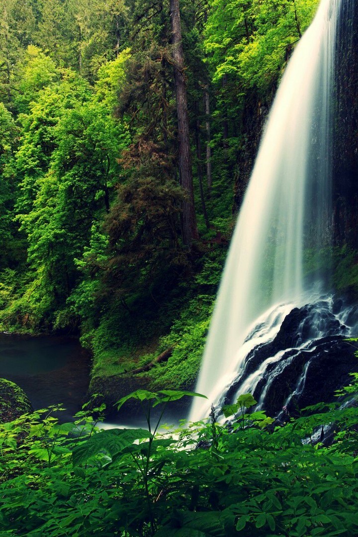Waterfall