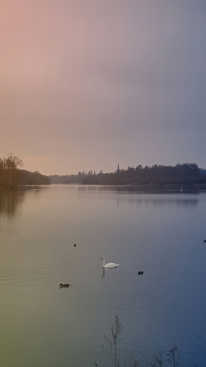 clumber park uk