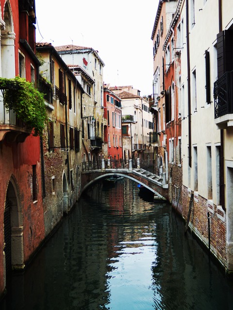 I love venecia