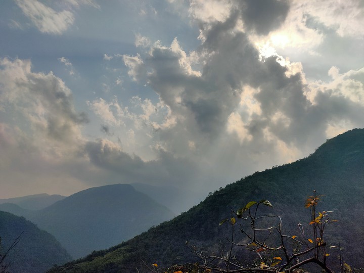 Nature