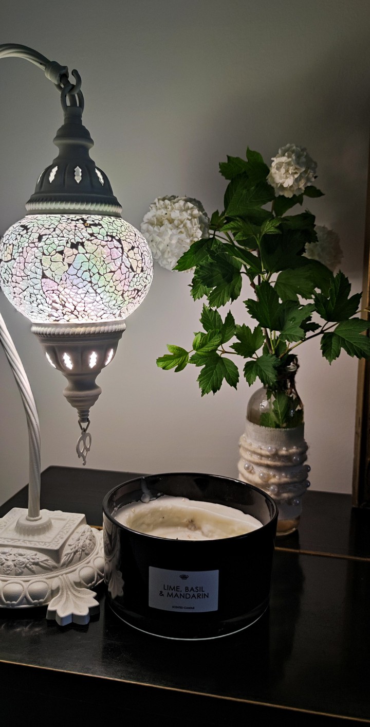 Viburnum Boule de Neige