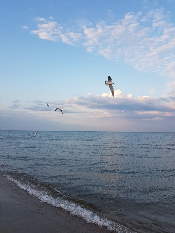 Море.....