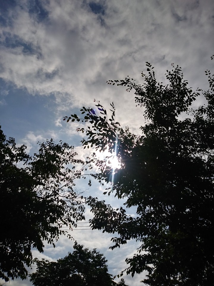 sky♡