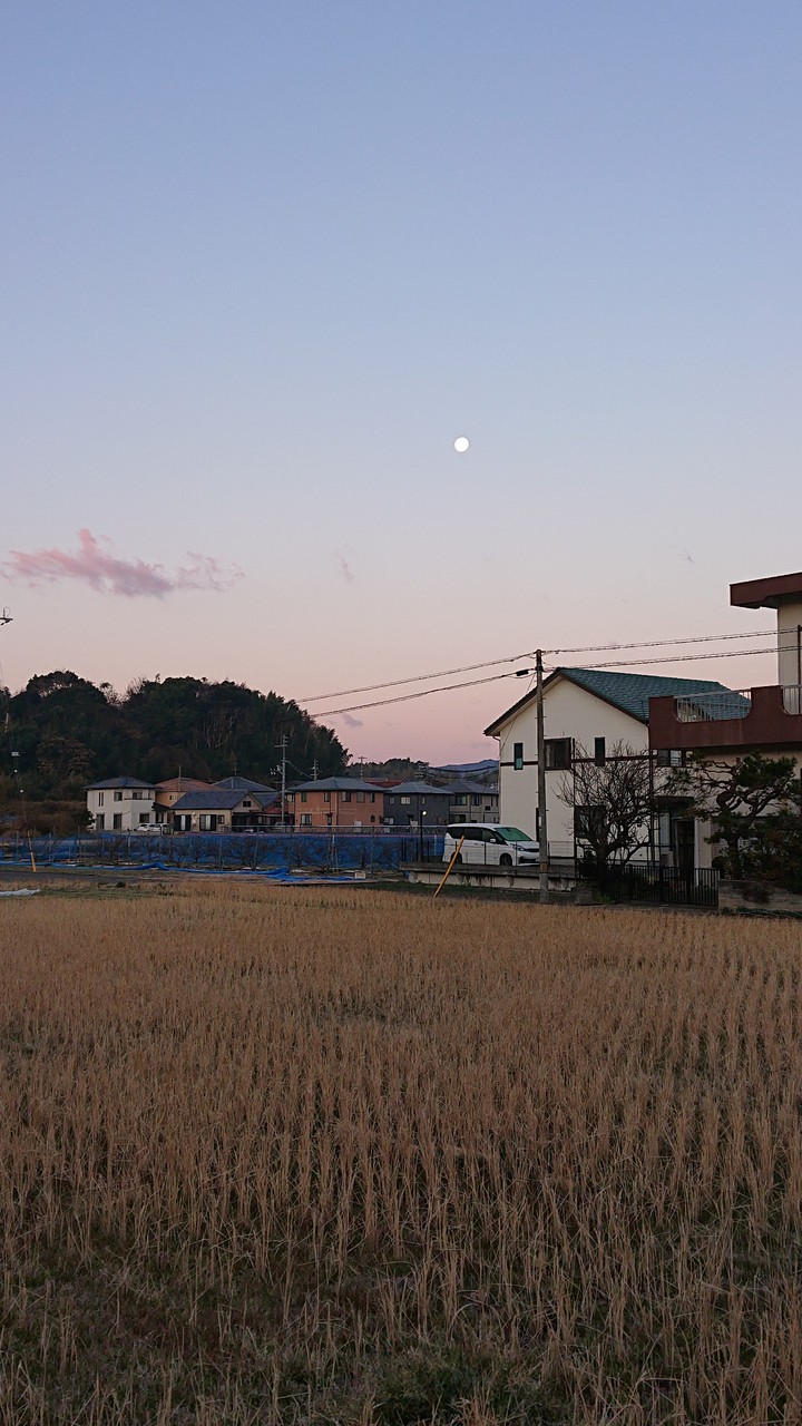 Moon in the dawn