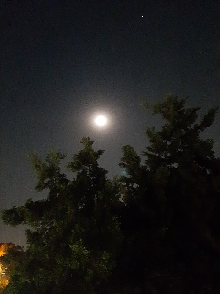 luna