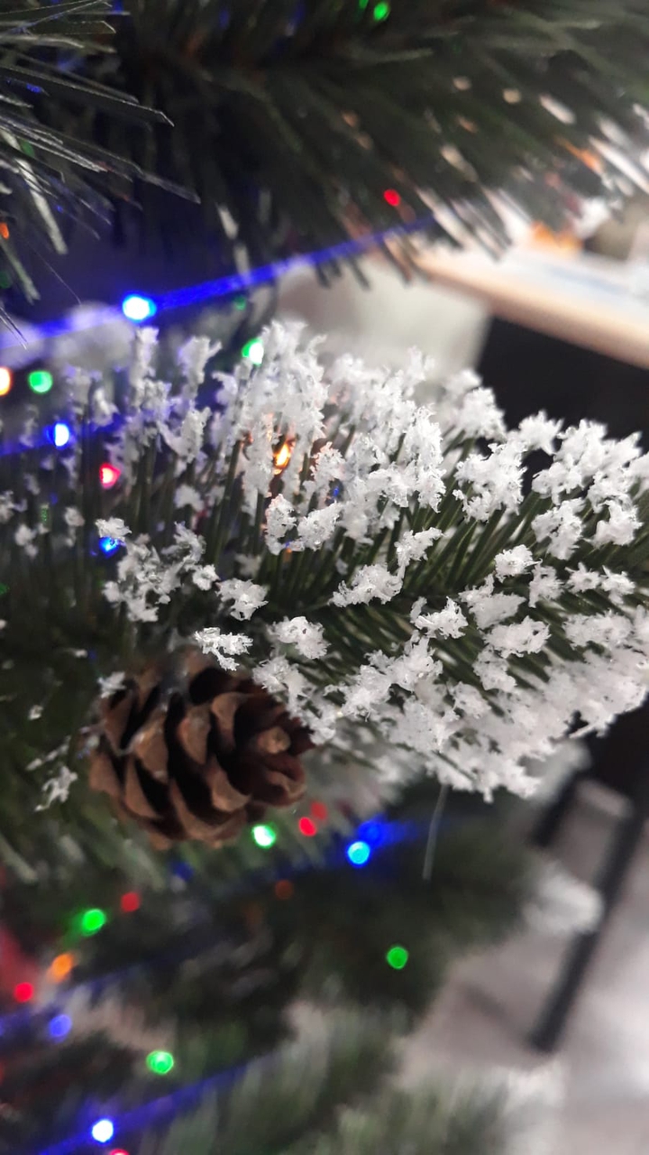 Christmas tree
