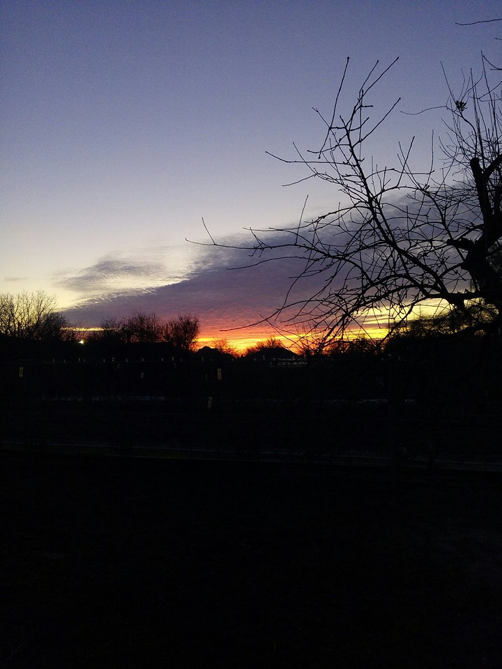 Burning Sky And A Tree