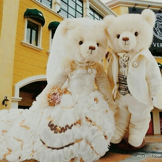 bear