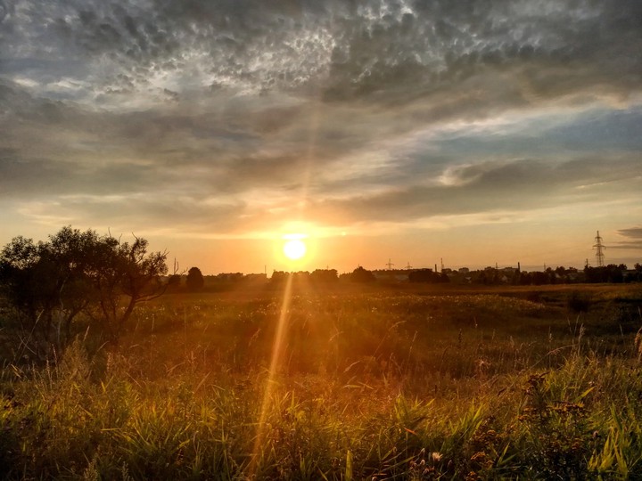 Sunshine