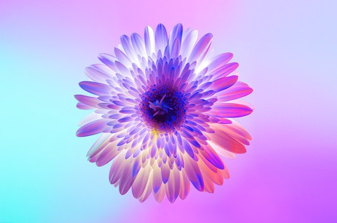flor