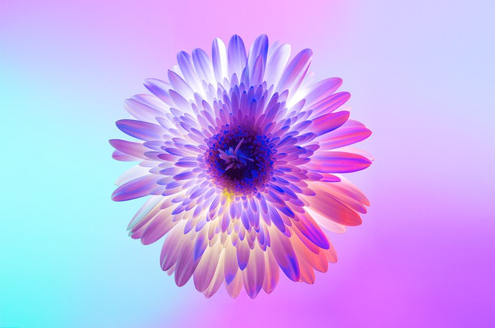 flor