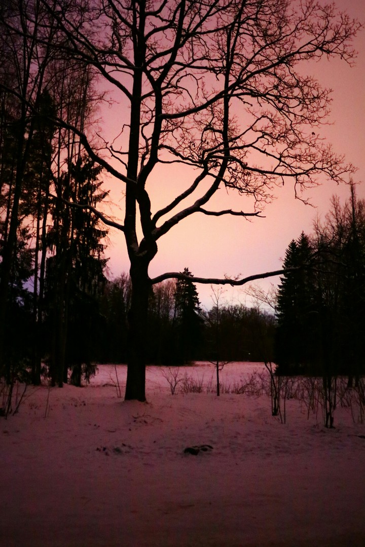 Art of light