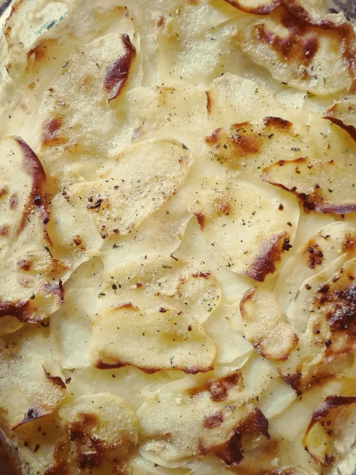 gratin potatoes