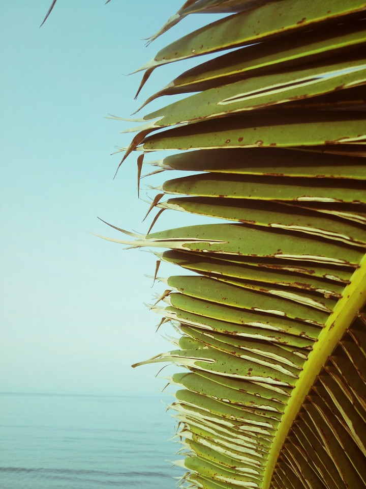 Greece