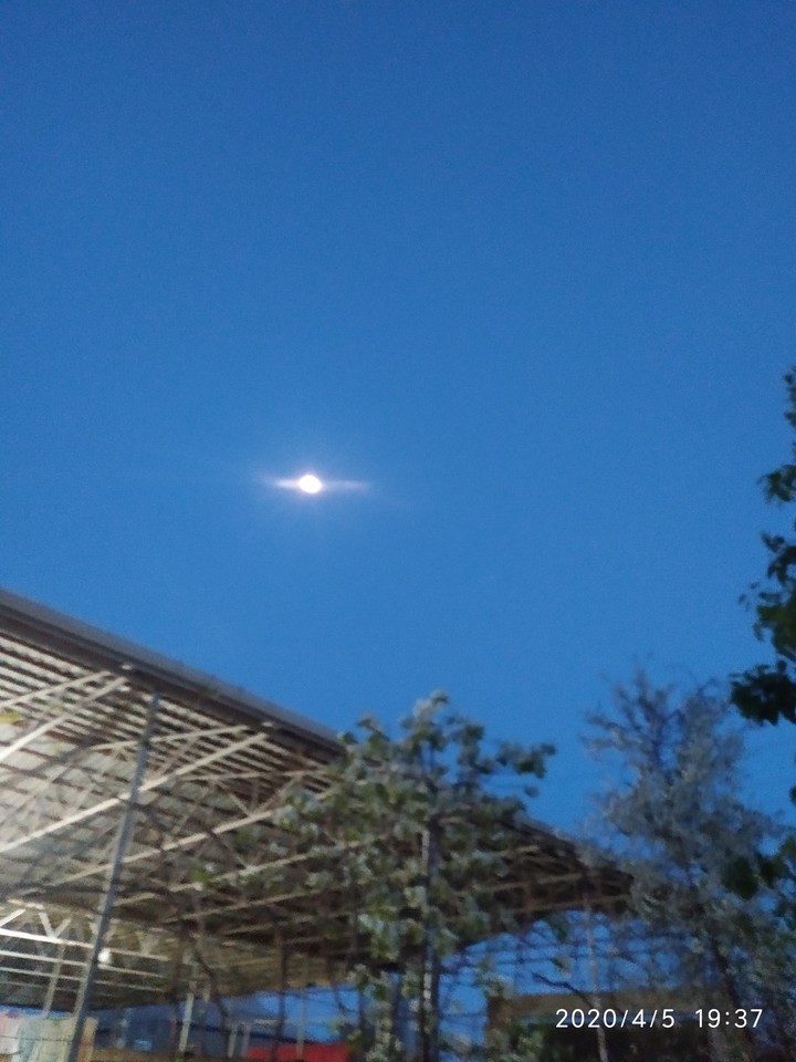 The Moon