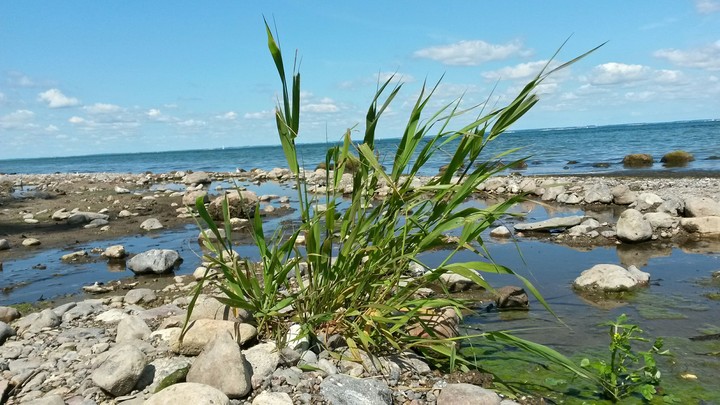 Ostsee