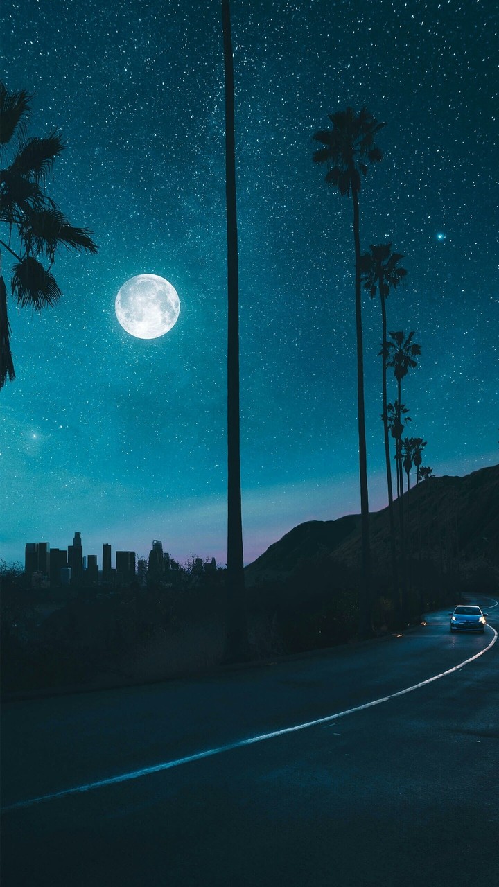 The Night