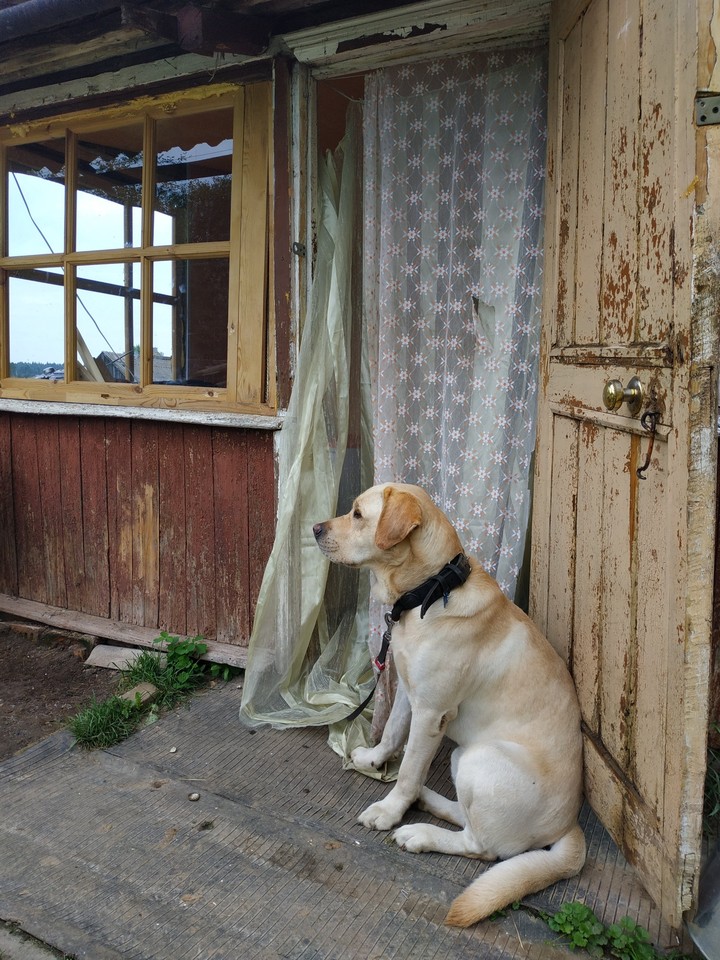 Грюша