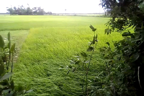 fresh air.