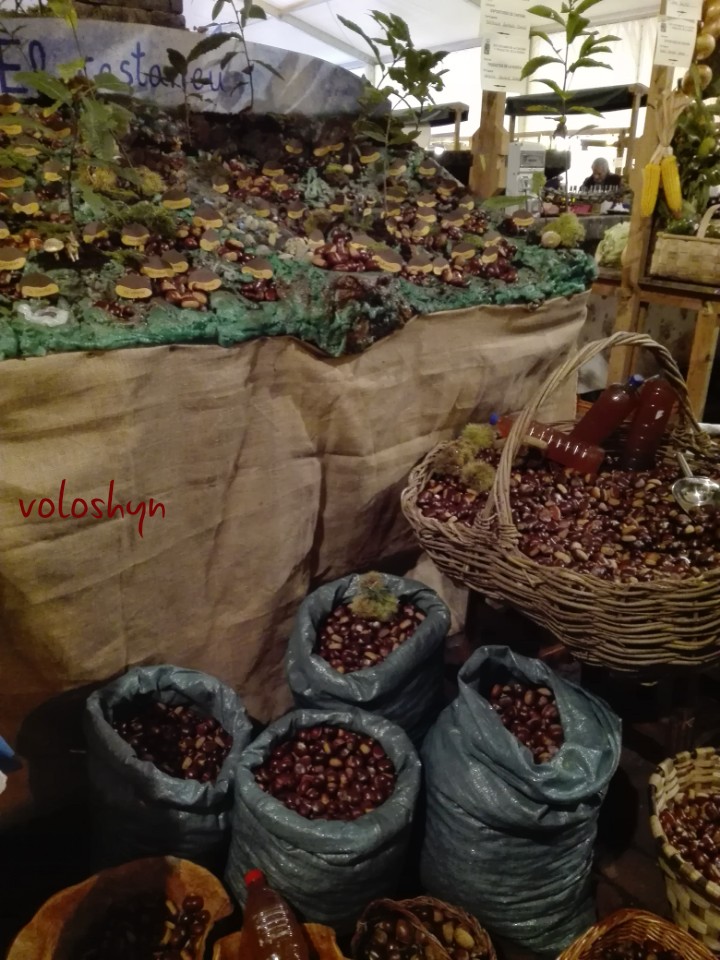 castañas otoño autumn осень каштаны