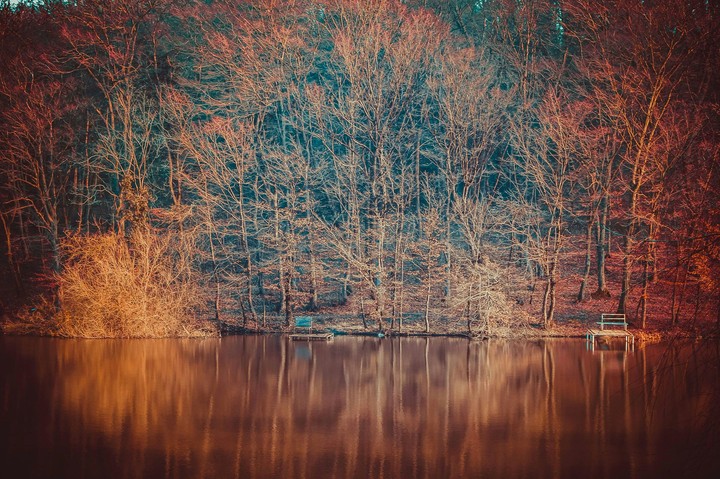 Autumn