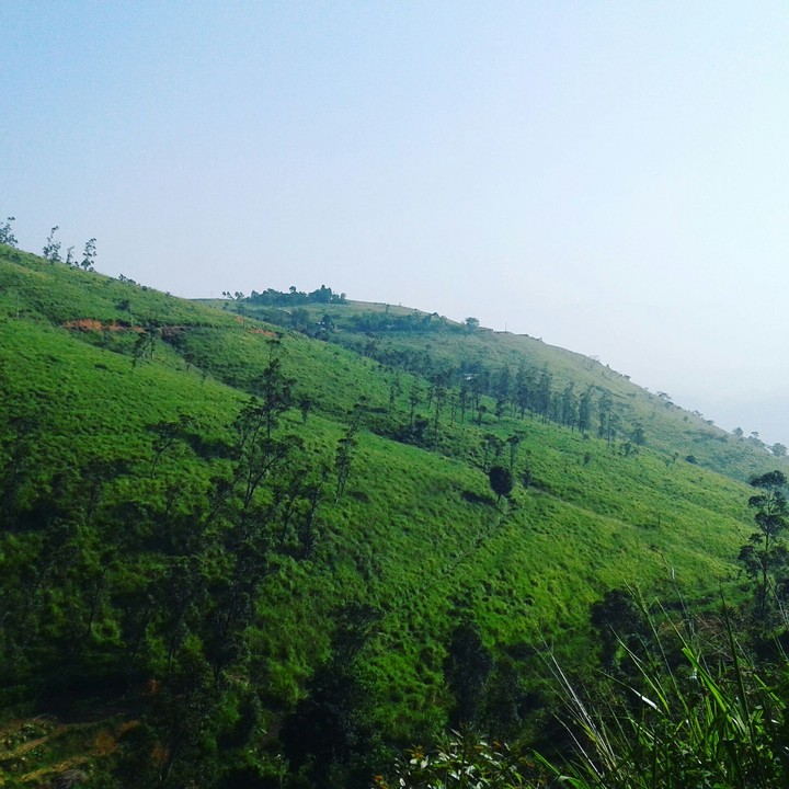 nature