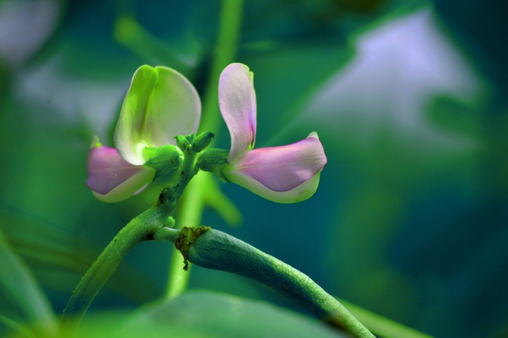 photography