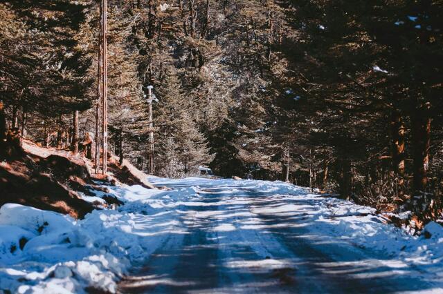 snow clad