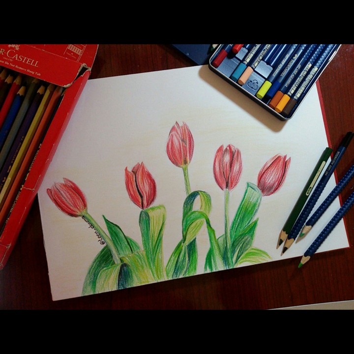 flower