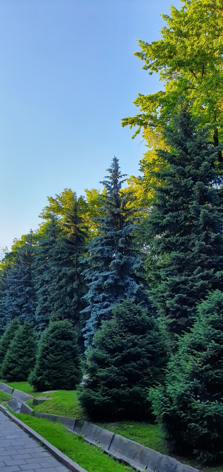 nature