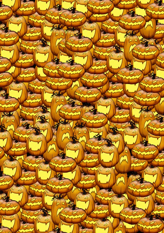 pumkin season