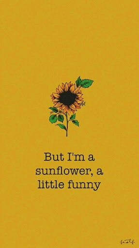 girasol