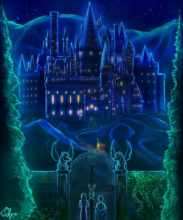 Harry Potter