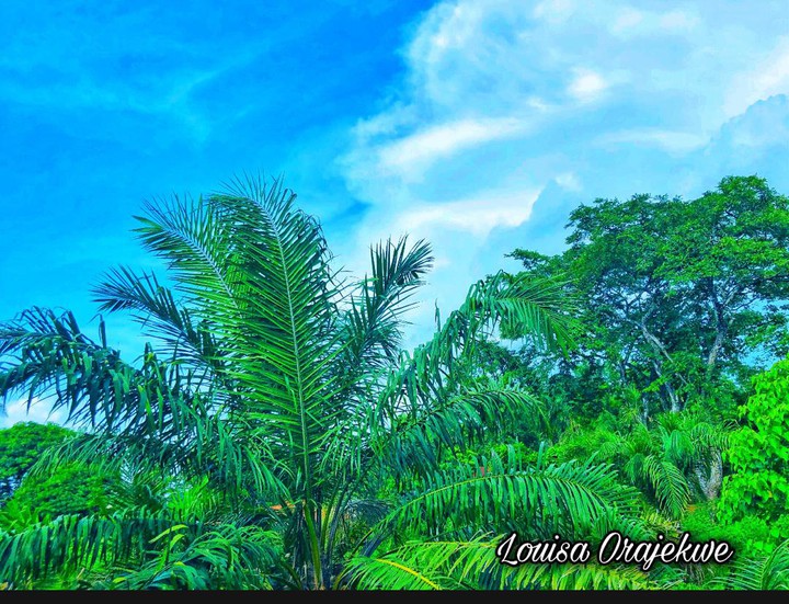 nature
