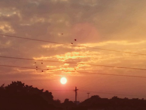 #sunset