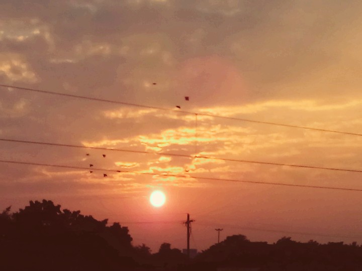 #sunset