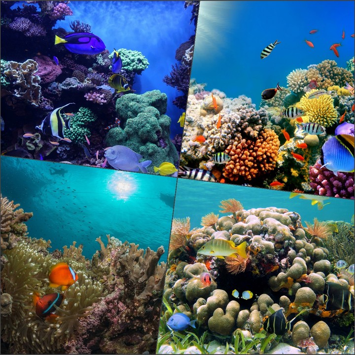 Underwater