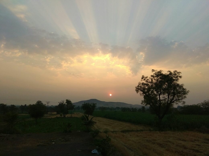 morning view .....