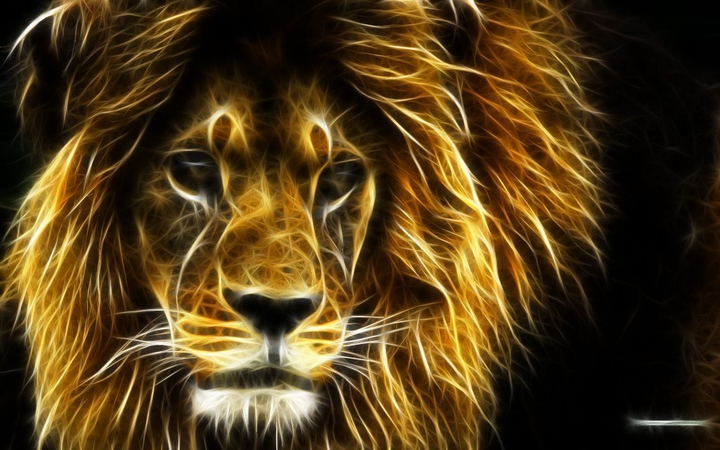 king of forest