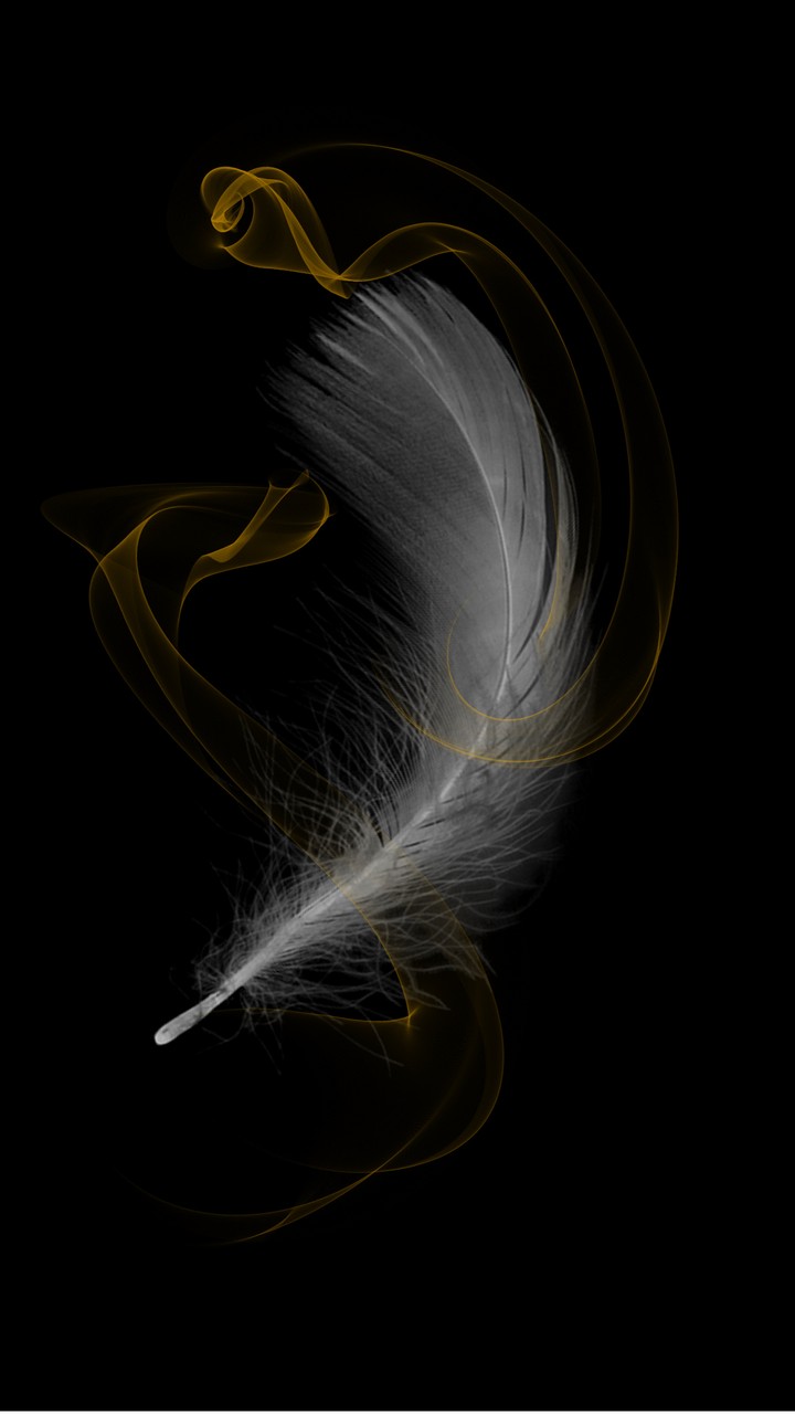 ريشة
