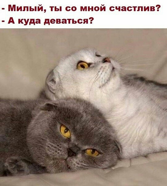 правда жизни