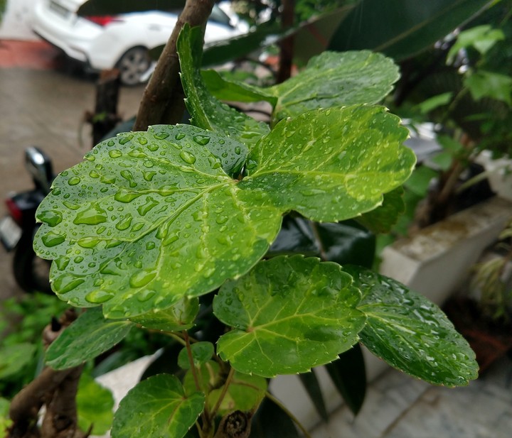 Rainy day