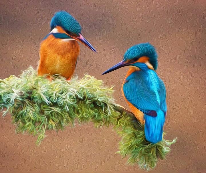 love