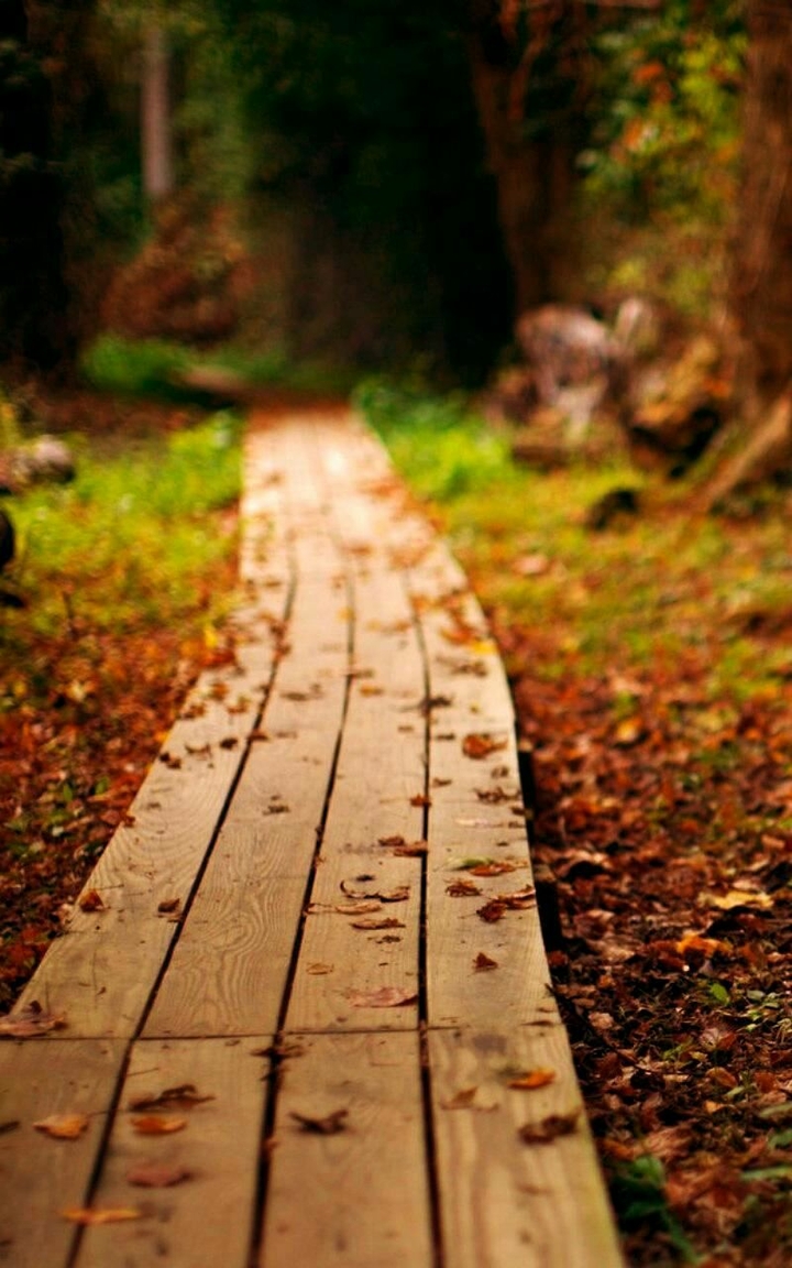 path
