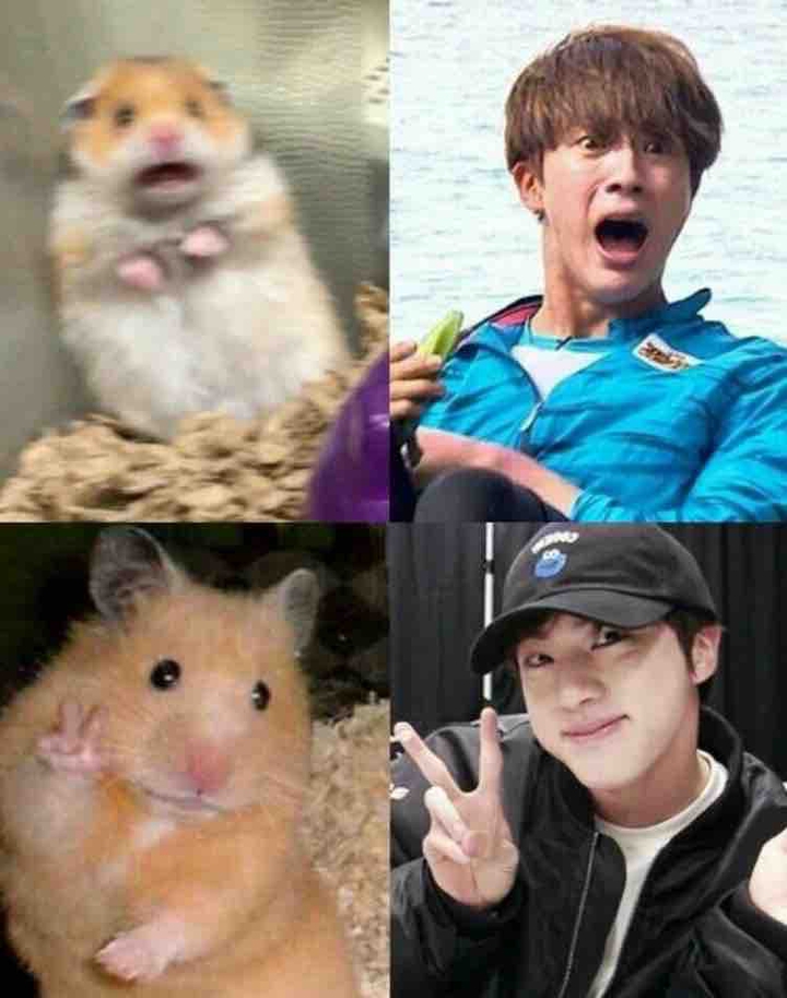 진