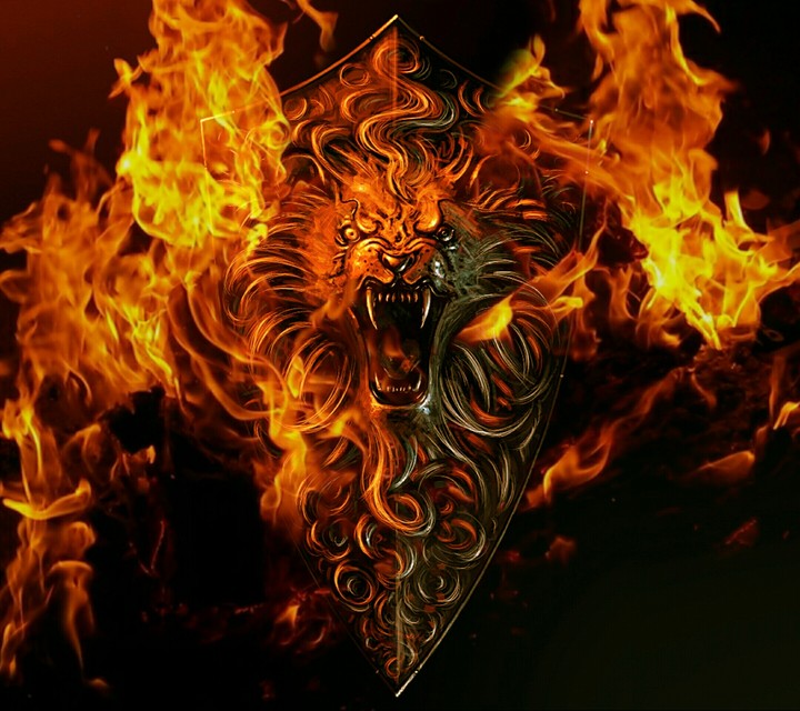 Lion shield flames up