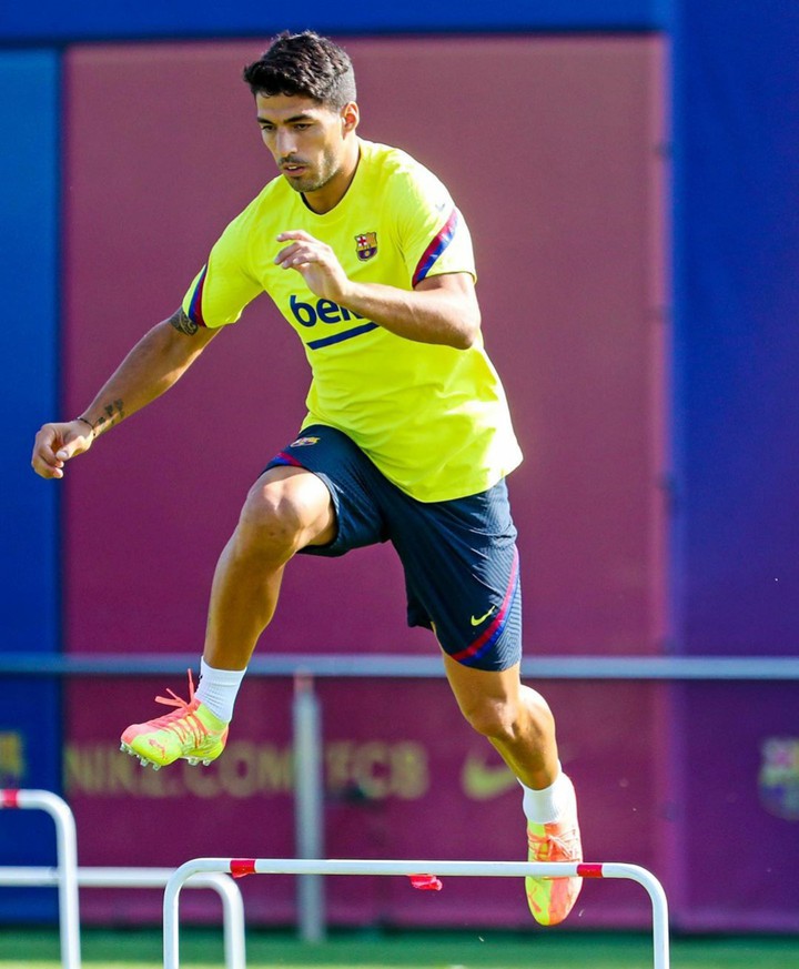 Suarez