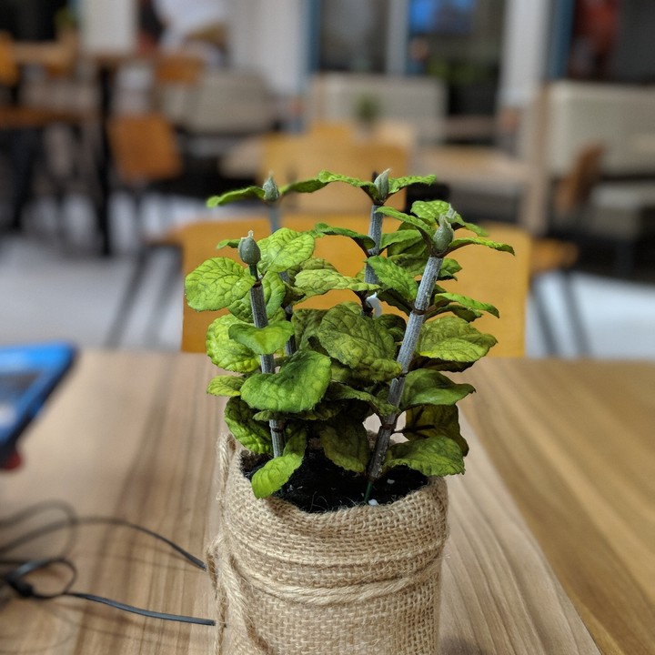 beautiful green things