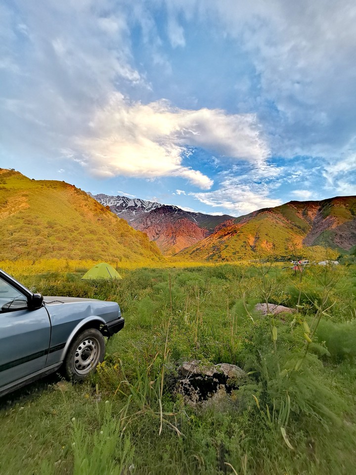 view